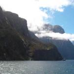 10 GIORNO Milford Sound (Scenic Route) - Curio Bay