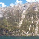 10 GIORNO Milford Sound (Scenic Route) - Curio Bay