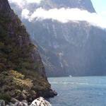 10 GIORNO Milford Sound (Scenic Route) - Curio Bay