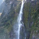 10 GIORNO Milford Sound (Scenic Route) - Curio Bay