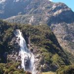 10 GIORNO Milford Sound (Scenic Route) - Curio Bay