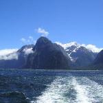 10 GIORNO Milford Sound (Scenic Route) - Curio Bay