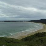 11 GIORNO Curio Bay (The Catlins) - Balclutha